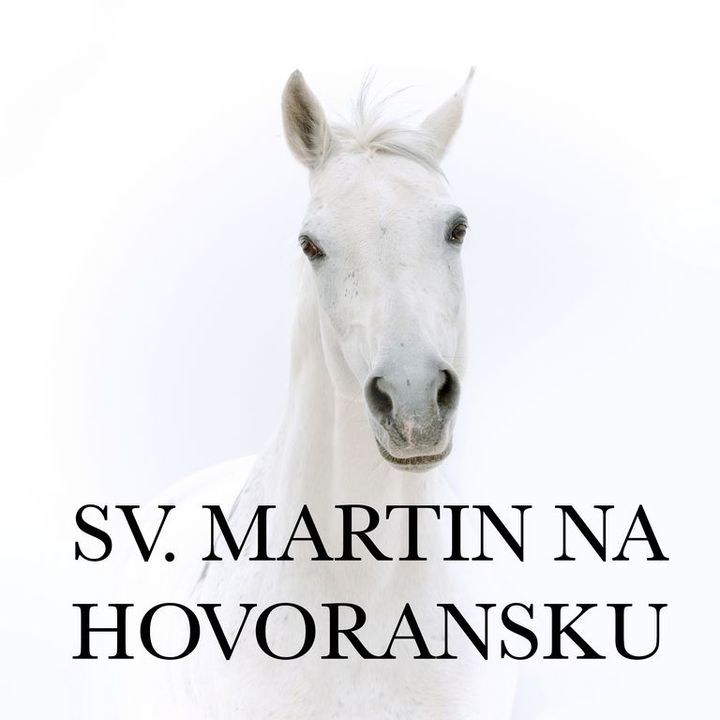 Festival v&iacute;na sv. Martina na Hovoransku - 13.11.2021
